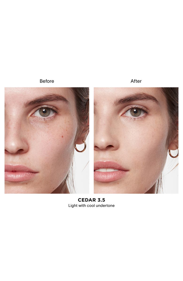 Vanish Airbrush Concealer
