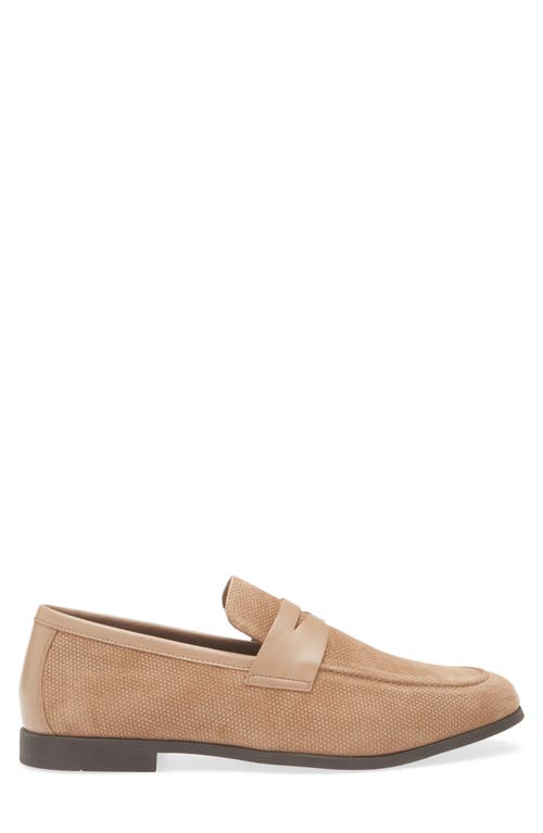 Steve Madden Pomona Penny Loafer In Brown