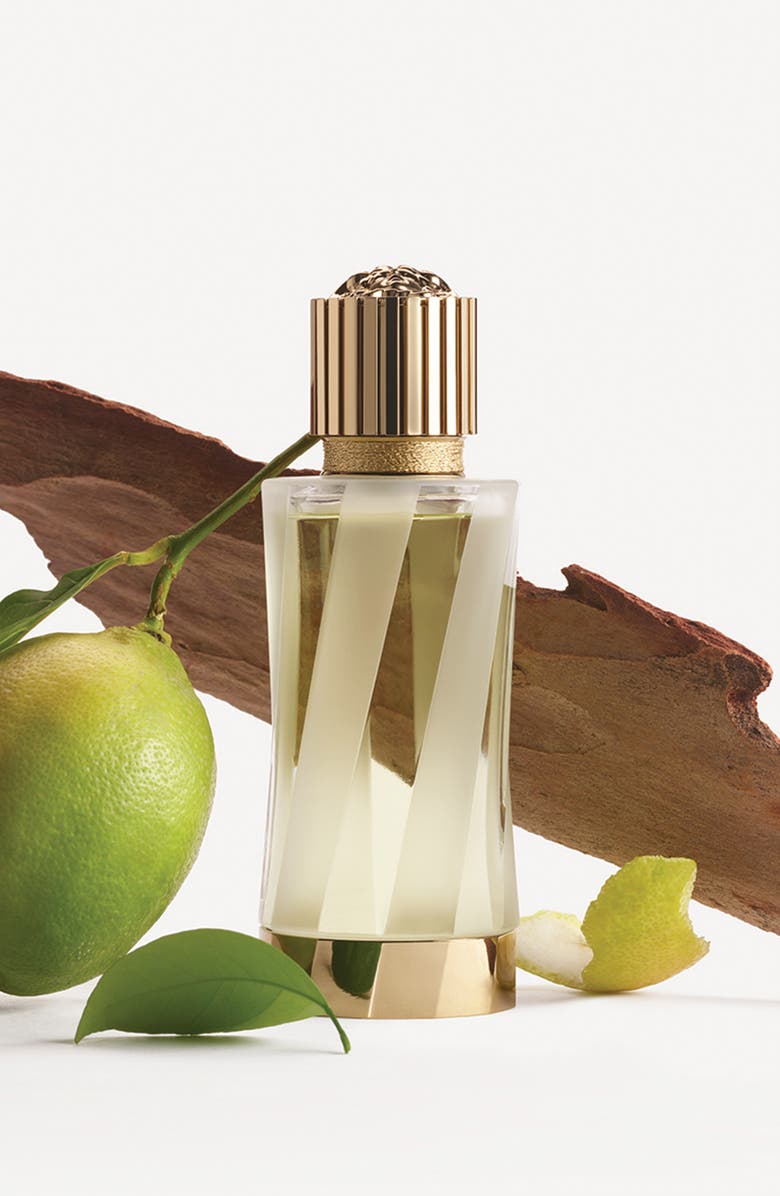 Versace Atelier Versace Cédrat de Diamante Eau de Parfum Spray, Alternate, color, 