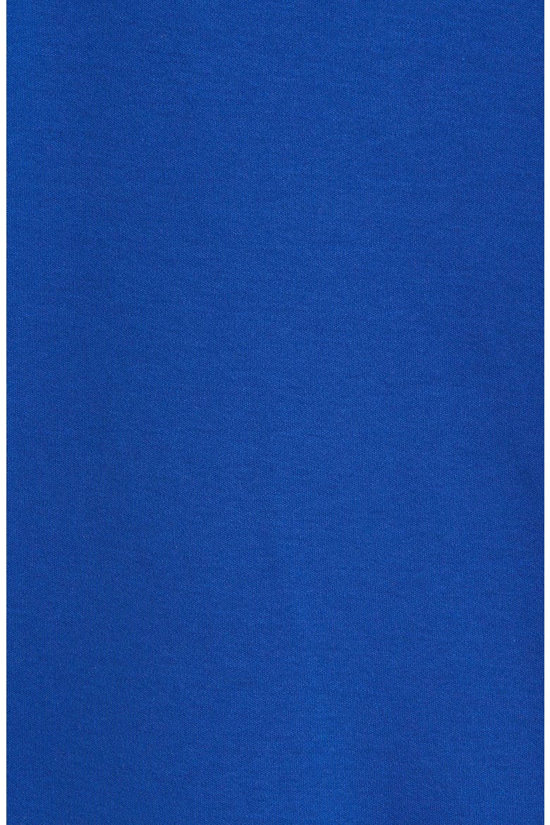 Bowling Stripe Polo, Alternate, color, CERULEAN