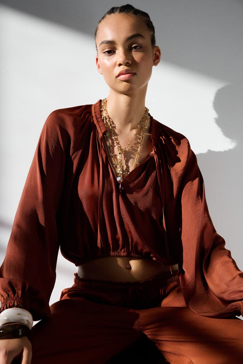 Balloon-sleeved Blouse, Main, color, Rust brown