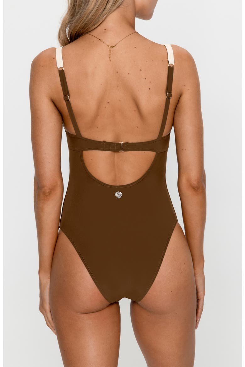 Colorblock High Leg One-Piece Swimsuit, Alternate, color, Brown