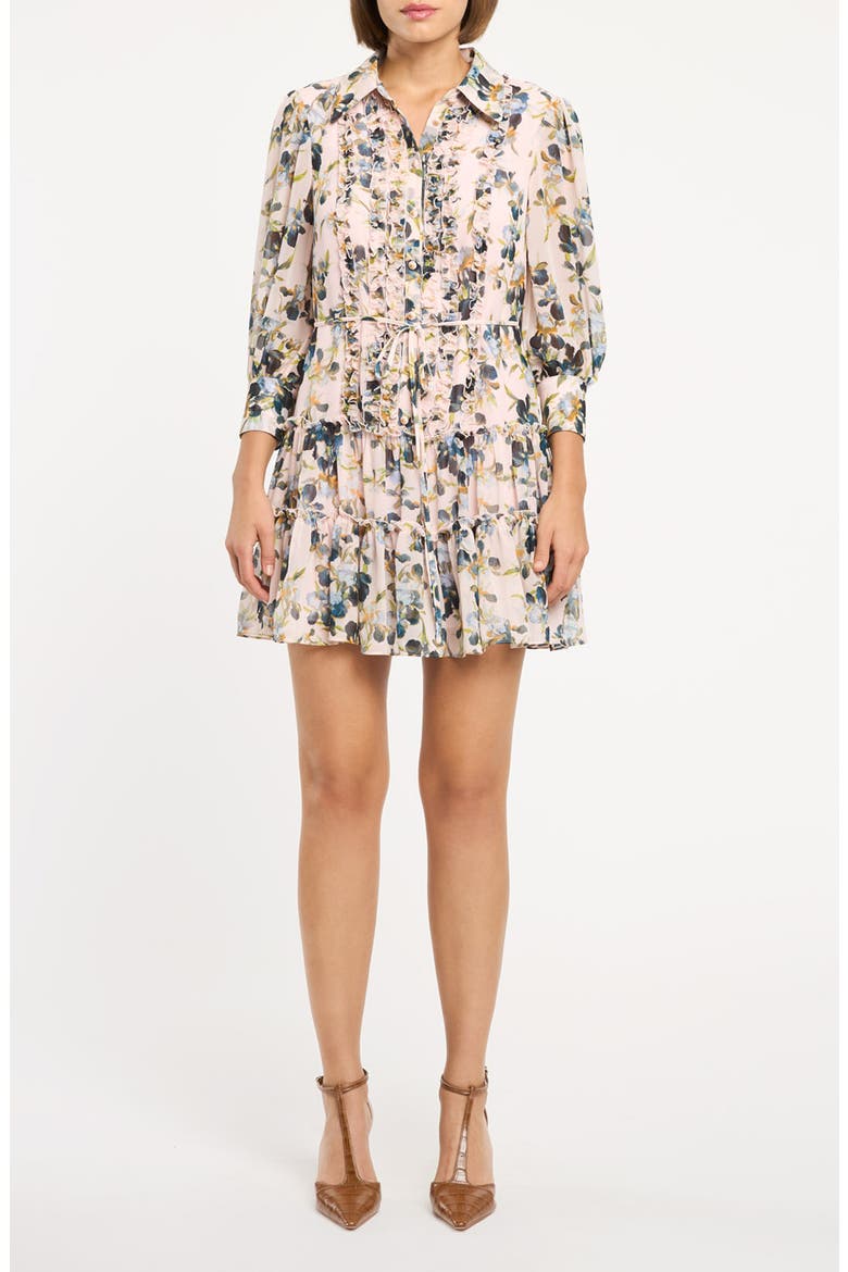 Rhys Trailing Iris Long Sleeve Minidress, Main, color, ROSY CLOUD MULTI