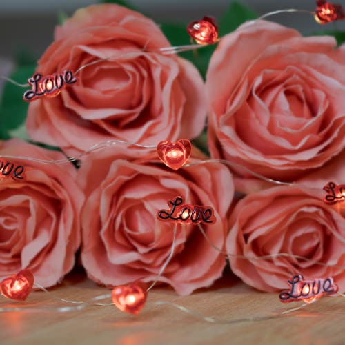 Northlight 20-count Red Valentine's Day Love And Heart Led Fairy Lights, 6.25ft, Copper Wire In Red