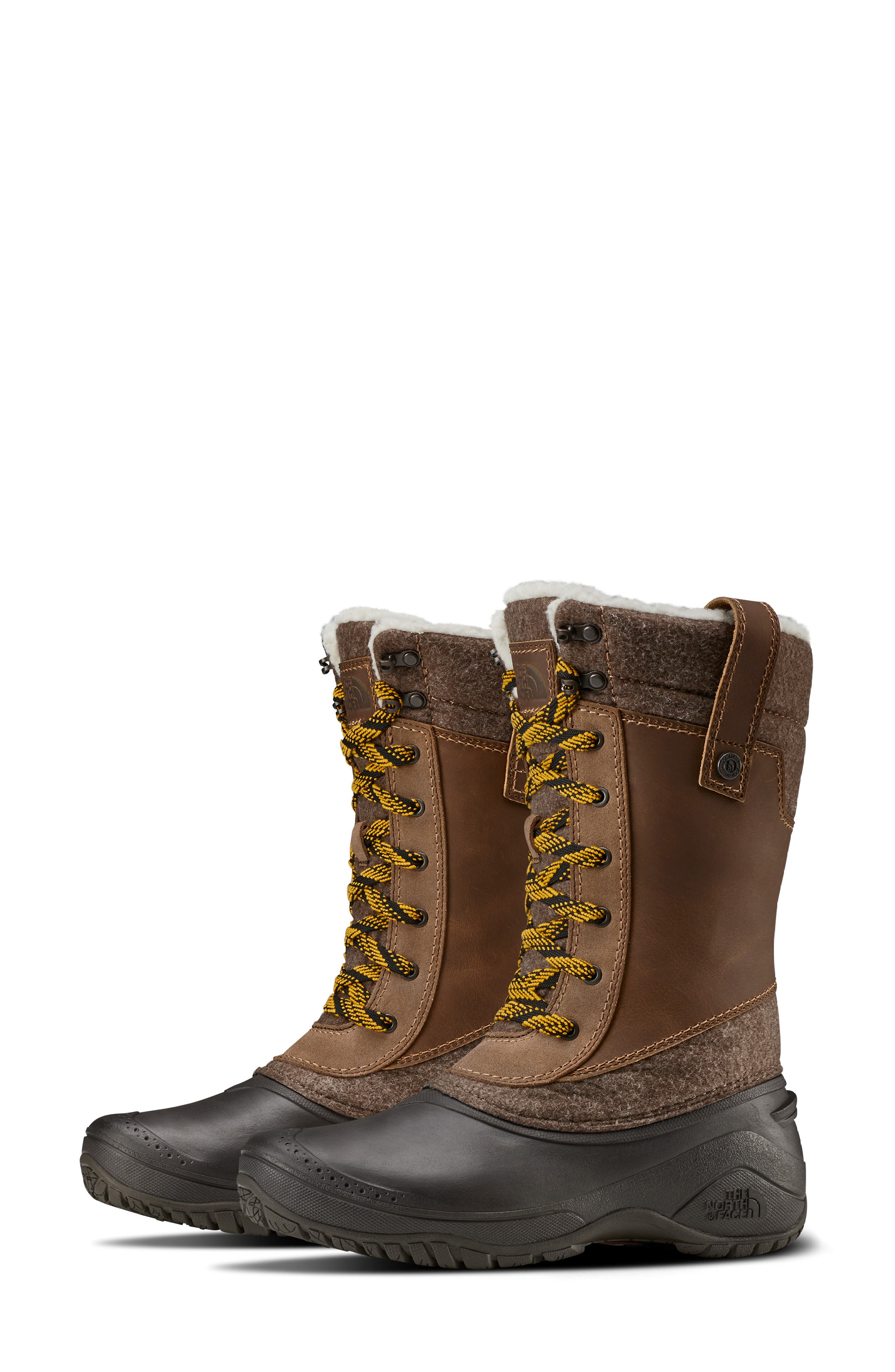 Shellista III Waterproof Insulated Winter Boot, Main, color, DEMITASSE BROWN/ CARAFE BROWN