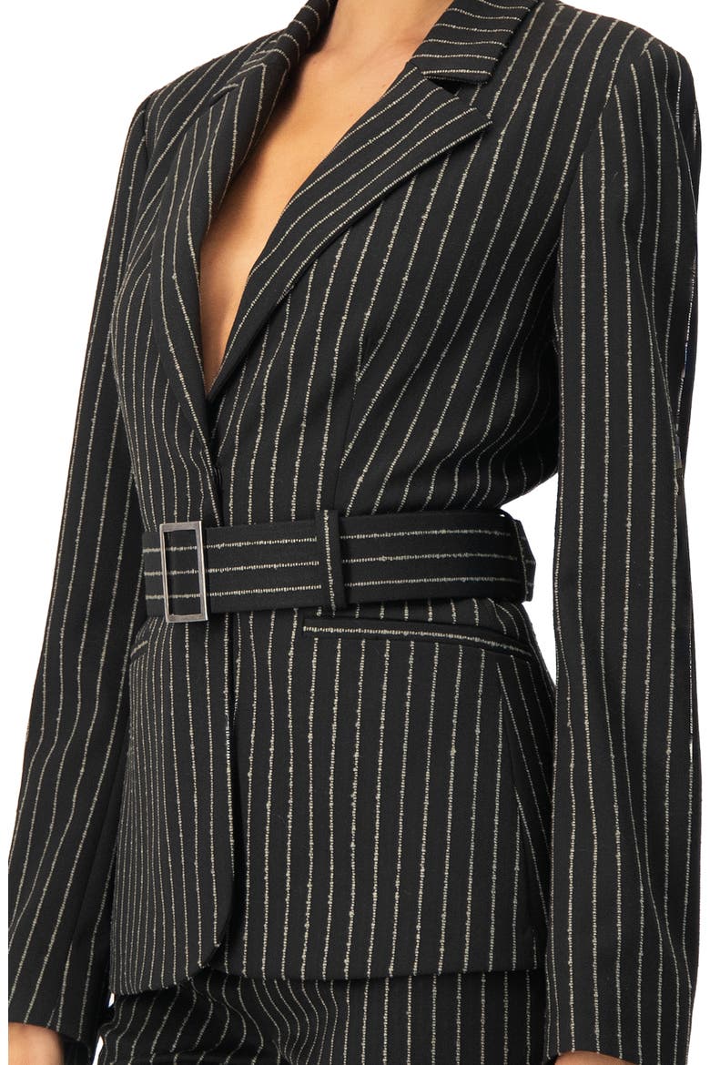 Striped Blazer With Belt, Alternate, color, Black