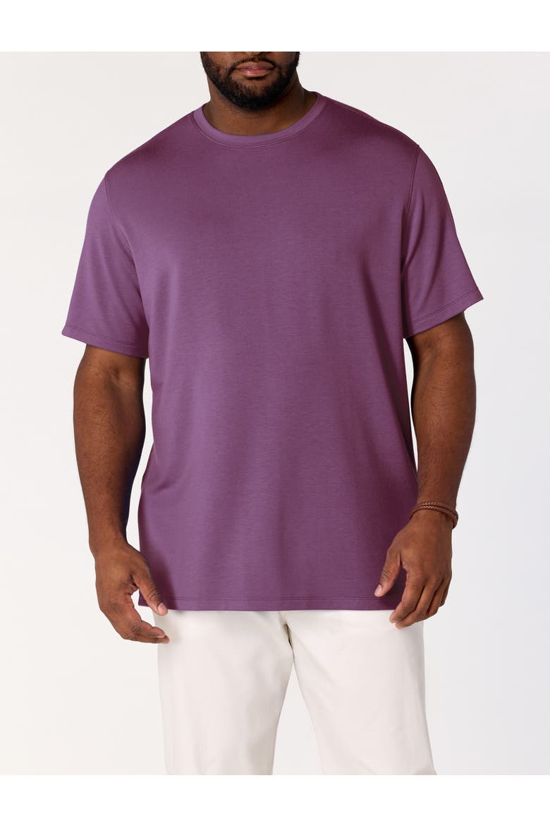 Big & Tall Luxury T-Shirt, Alternate, color, BOYSENBERRY PD