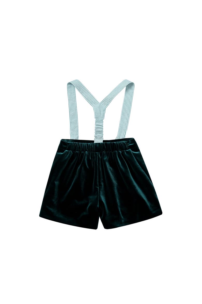 Belmont Velvet Suspender Set, Alternate, color, Green