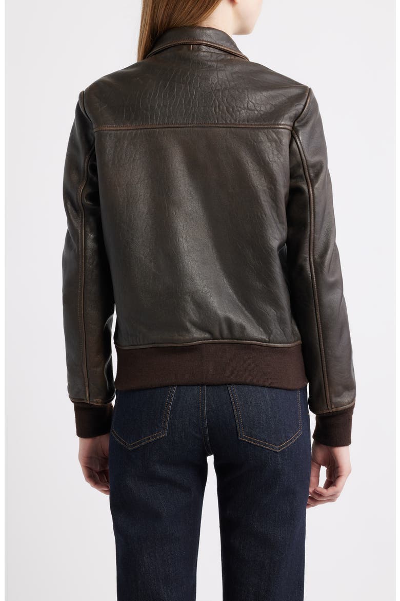 Leather Flight Jacket, Alternate, color, ANTIQUE