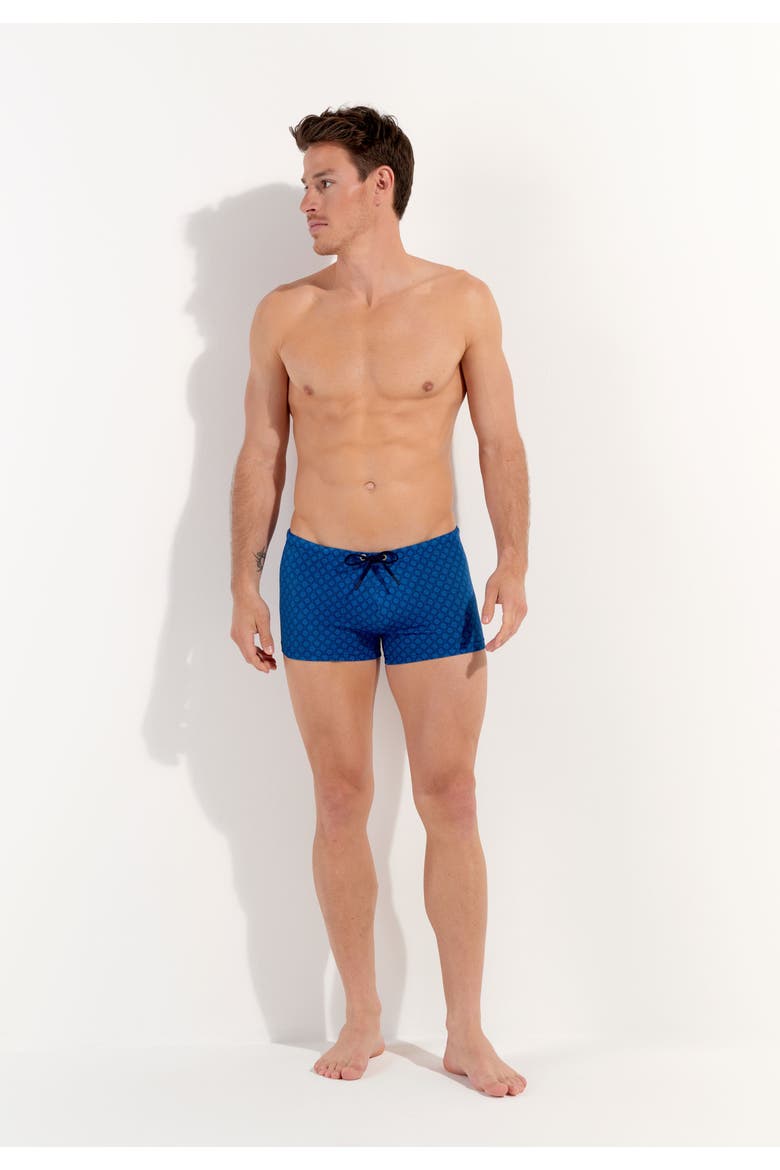 Hendaye Swim Shorts, Alternate, color, Blue Print