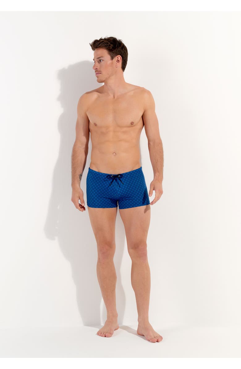 HOM Hendaye Swim Shorts, Alternate, color, Blue Print
