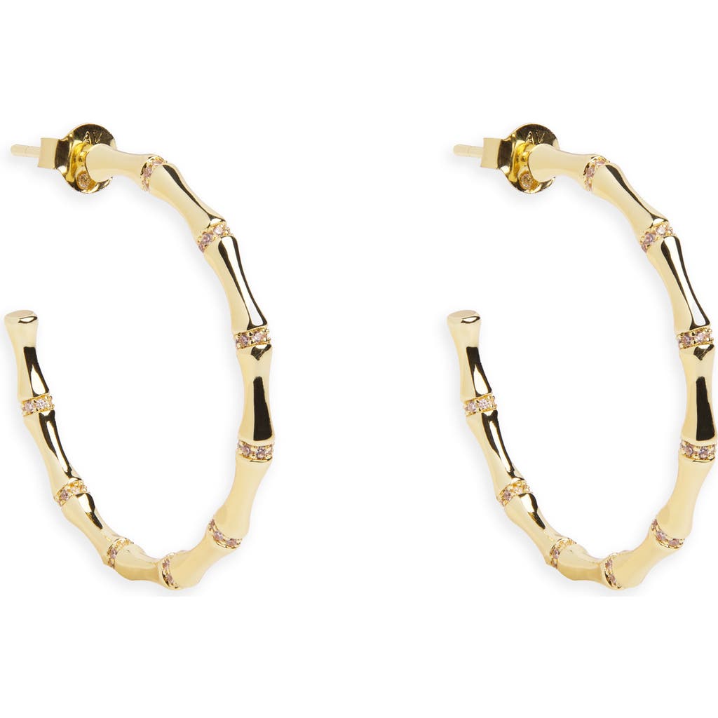 ARGENTO VIVO Bamboo Hoop Earrings in Gold at Nordstrom