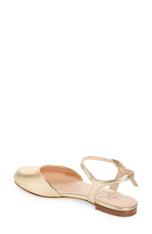 Agl Attilio Giusti Leombruni Milly Ankle Strap Flat In Platino