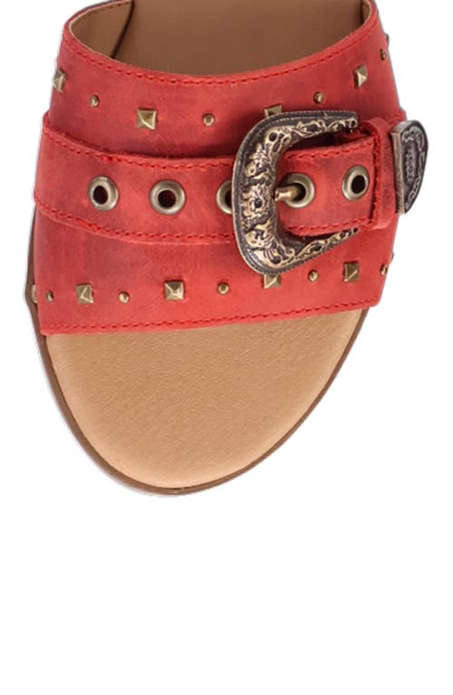 Dingo Lariat Slide Sandal