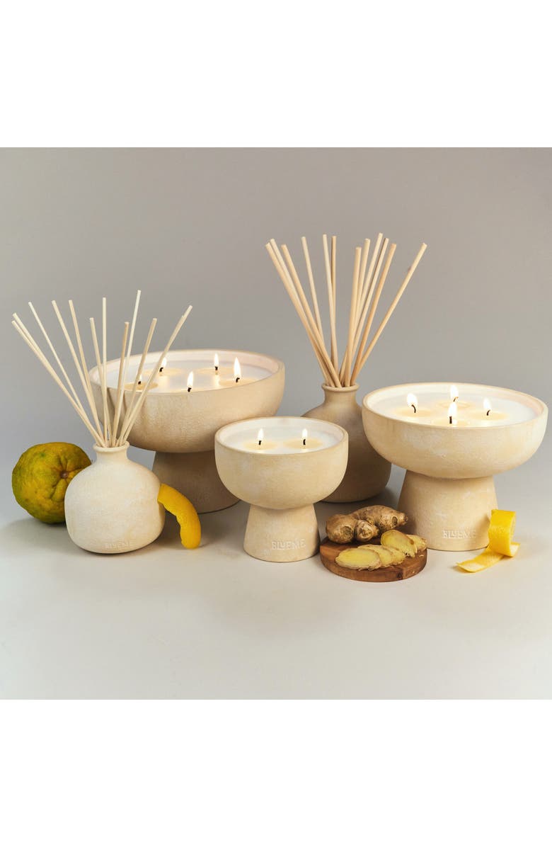 Blueme Happiness Large Ceramic Candle, Alternate, color,