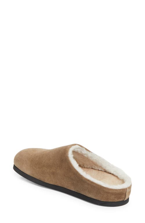 Common Projects Suede & Genuine Shearling Clog In Brown