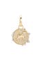  14K Yellow Gold-Leo