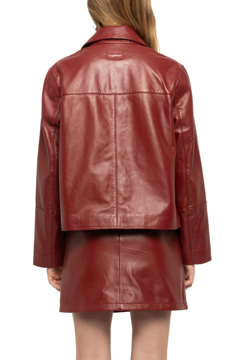 Lessa Leather Jacket, Alternate, color, CHERRY