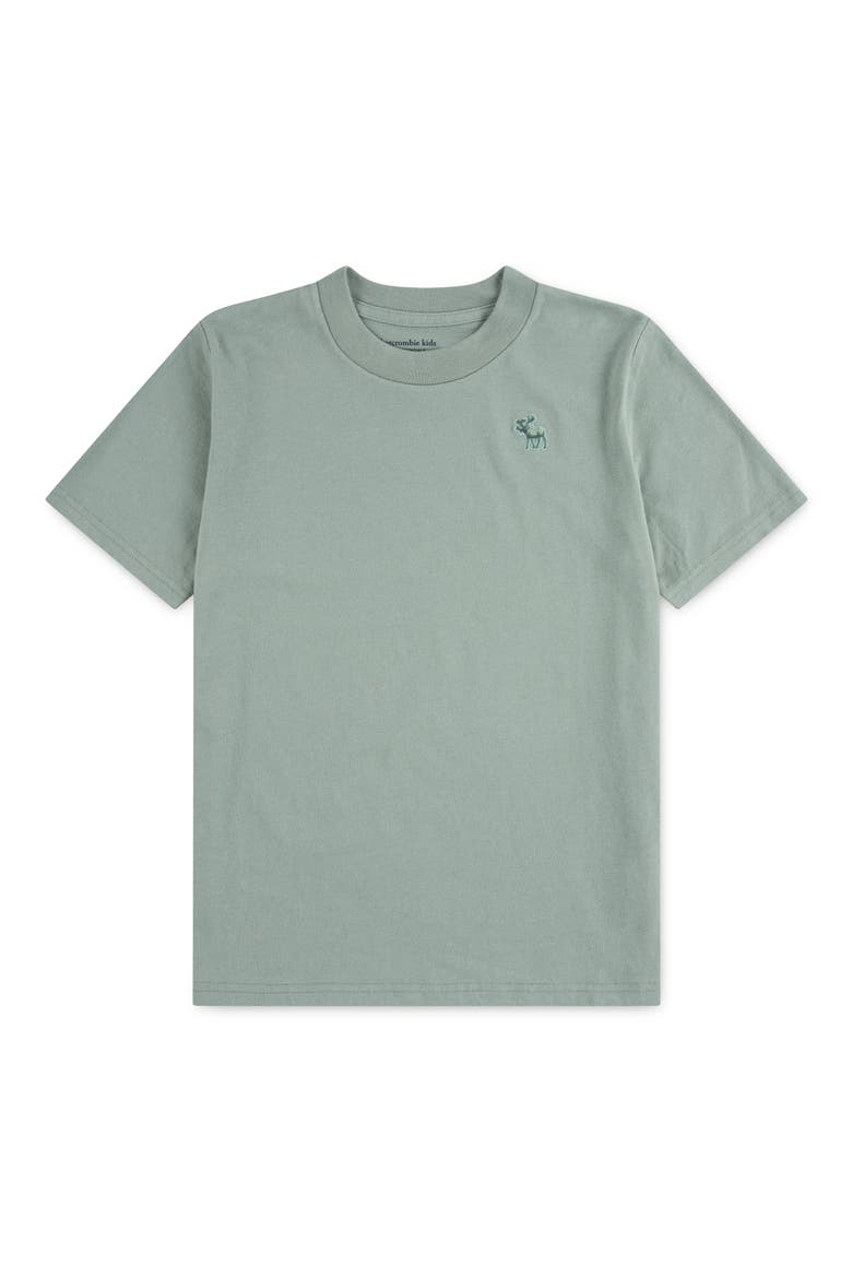 Kids' Essential Cotton Blend T-Shirt, Main, color, F9RCHINOIS