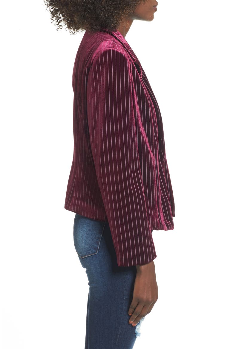 Stripe Velour Blazer, Alternate, color, RED TANNIN DOTTED STRIPE