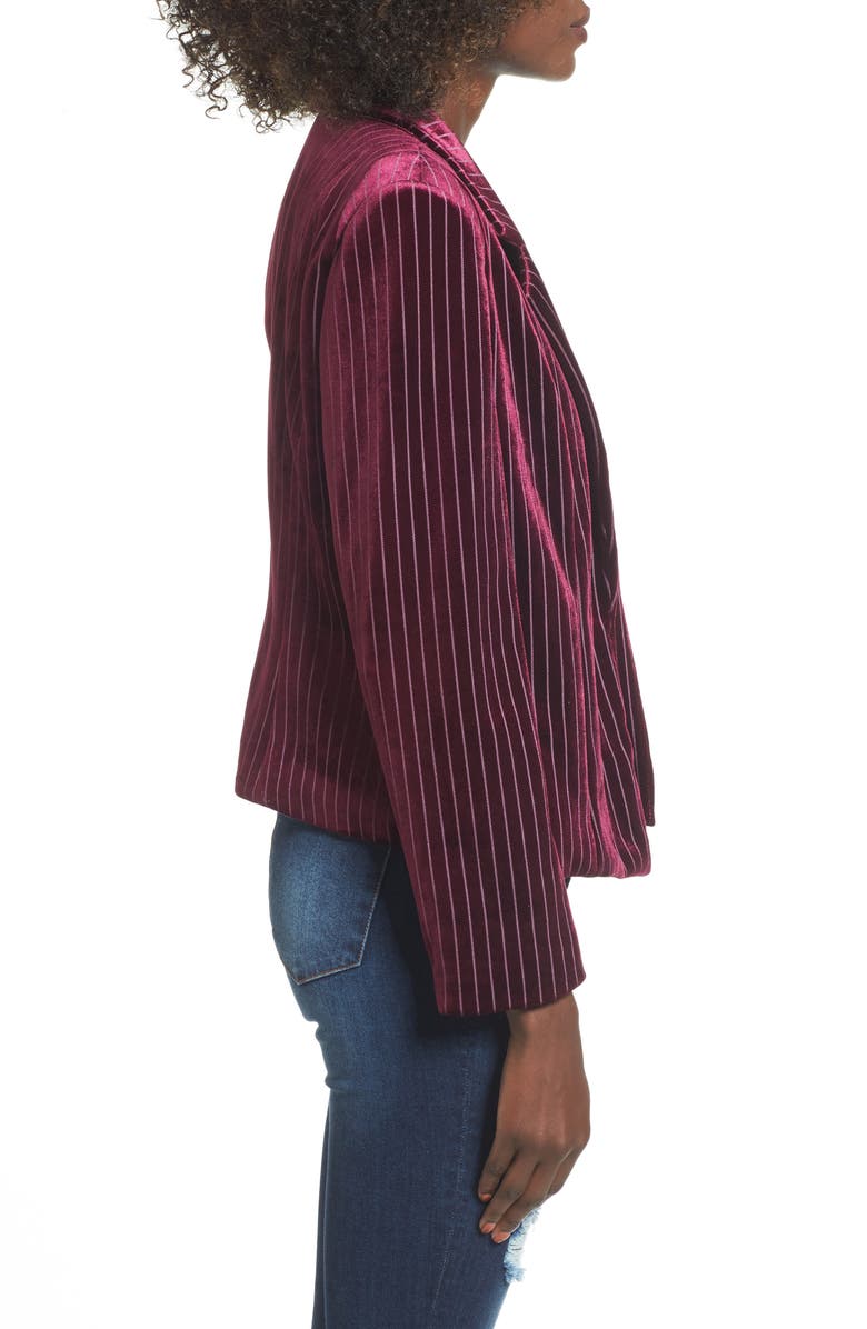 Leith Stripe Velour Blazer, Alternate, color,