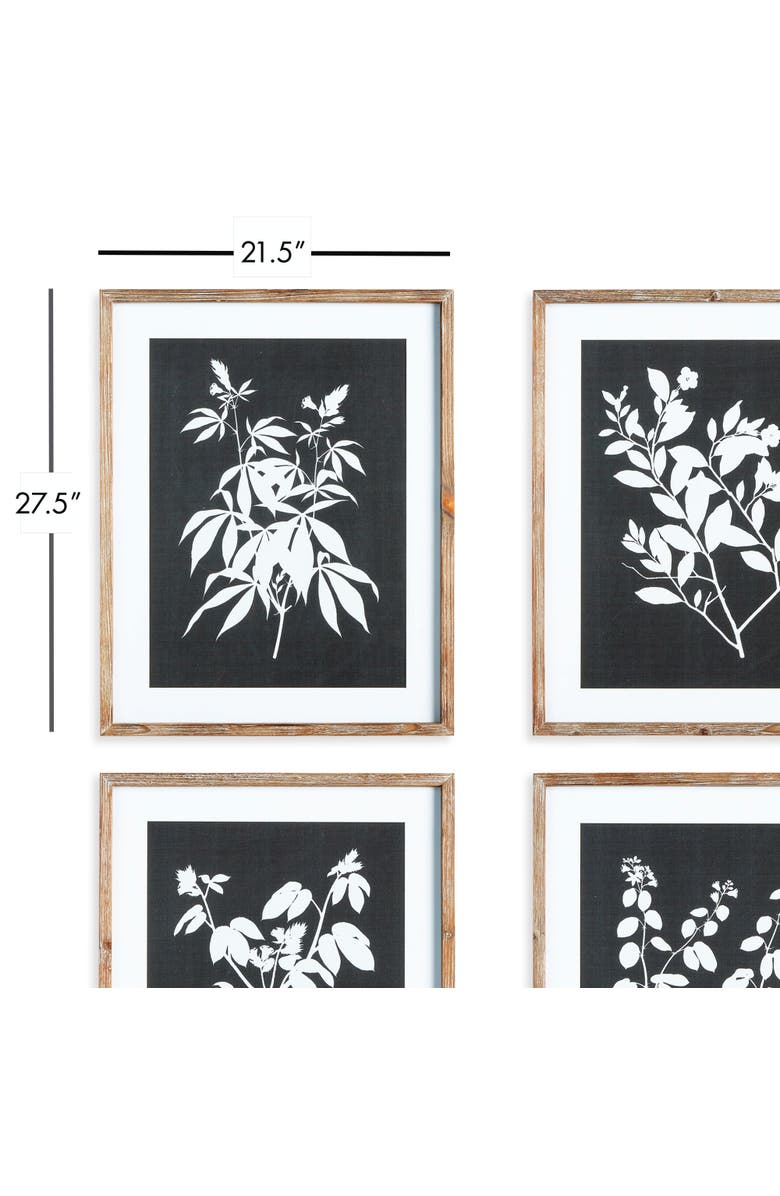 Napa Home & Garden Monochrome Botanical Prints Set of 4, Alternate, color, Black