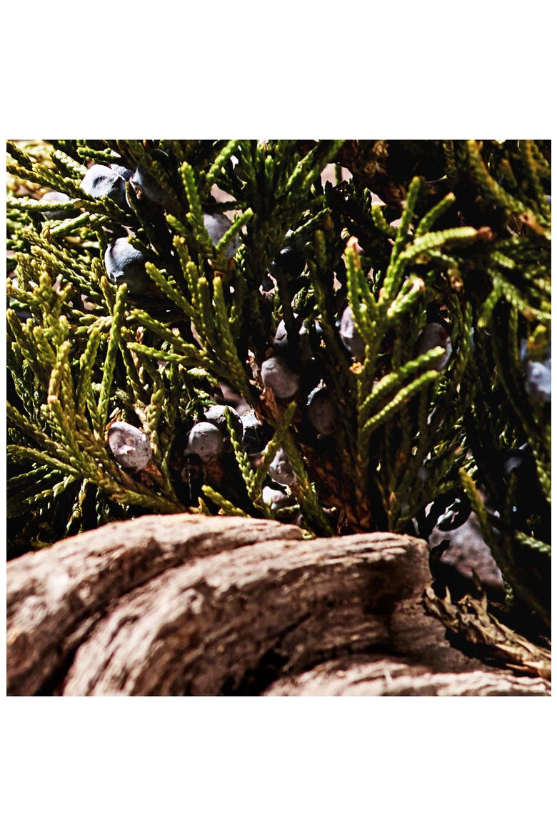 Black Cedarwood & Juniper Cologne, Alternate, color, NO COLOR