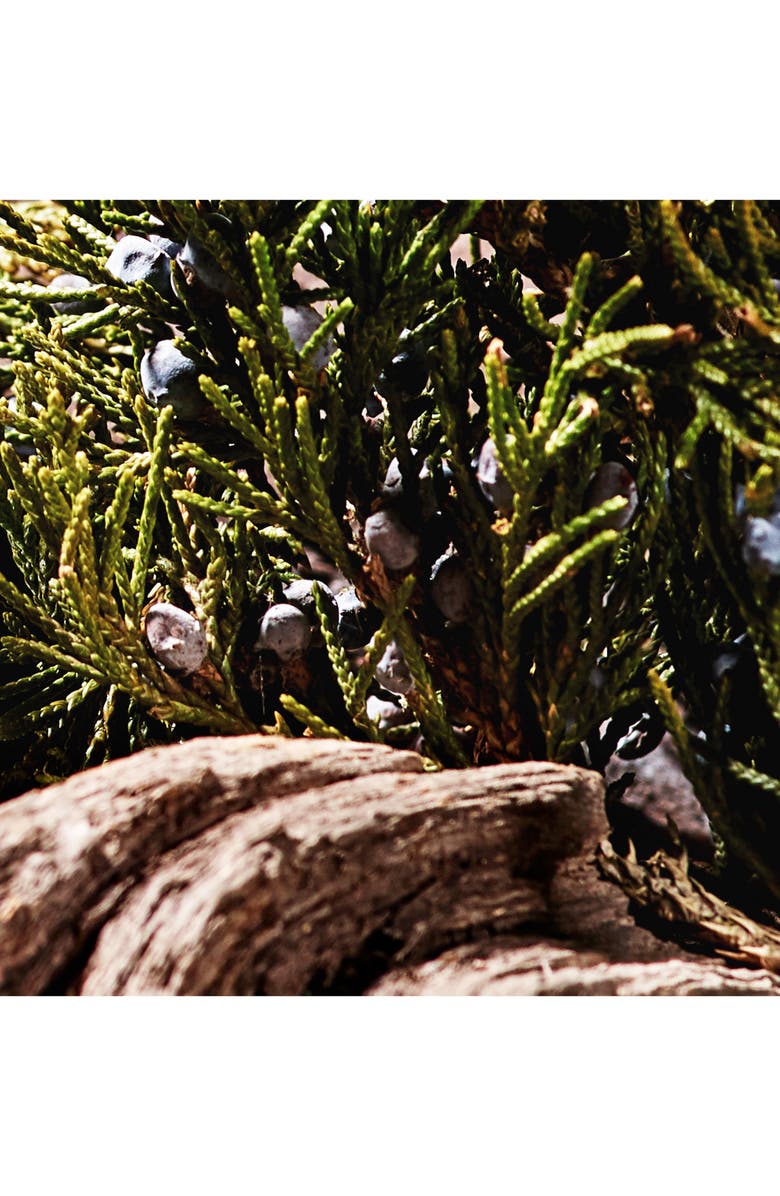 Jo Malone London<sup>™</sup> Black Cedarwood & Juniper Cologne, Alternate, color,