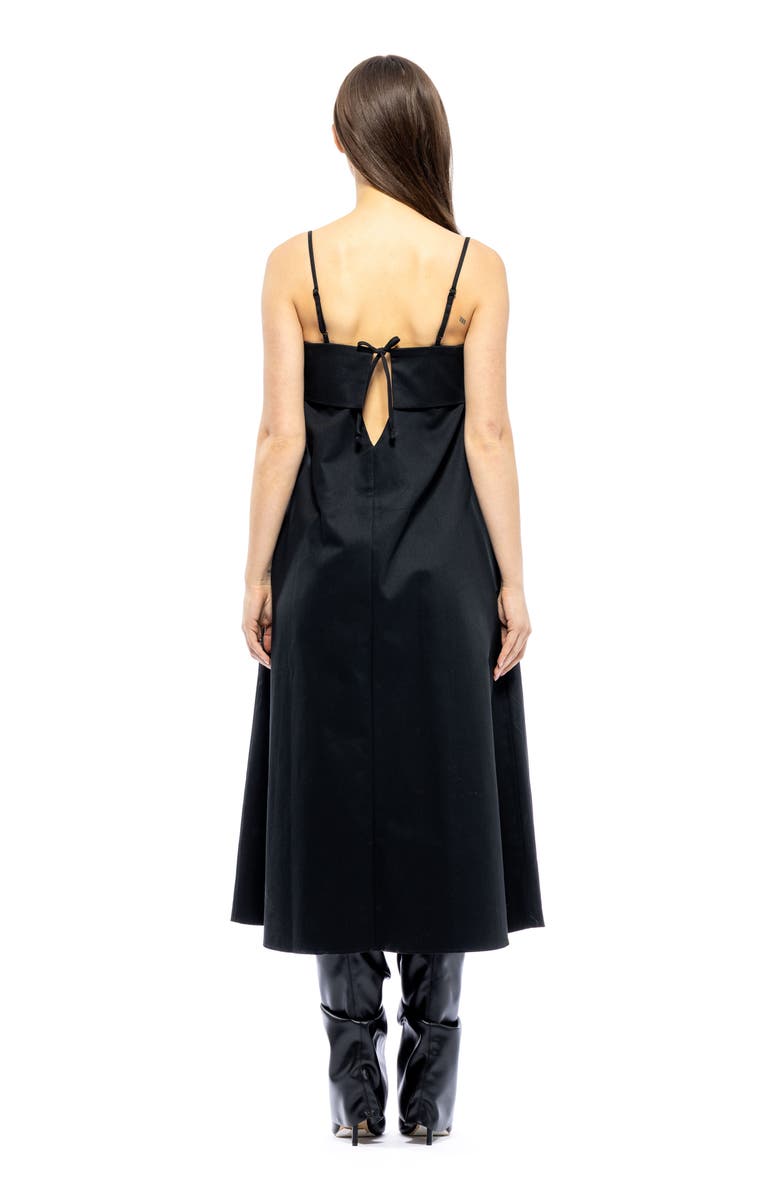 Toit Volant Verona Dress 3.0, Alternate, color,