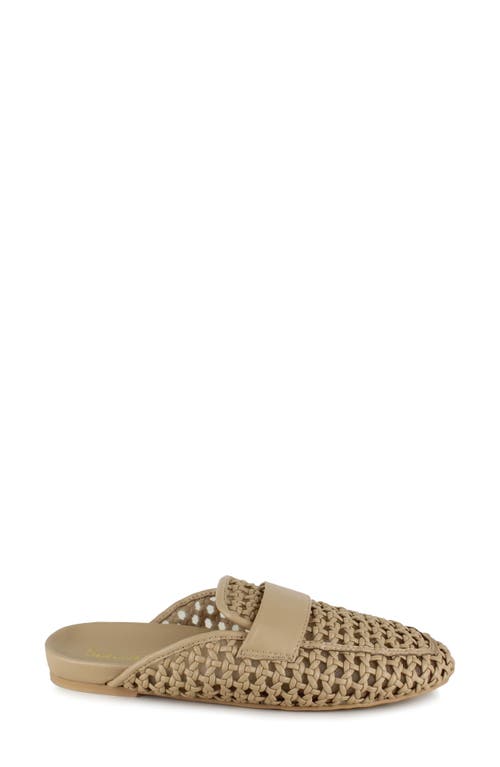 Splendid Sandra Woven Mule In Camel