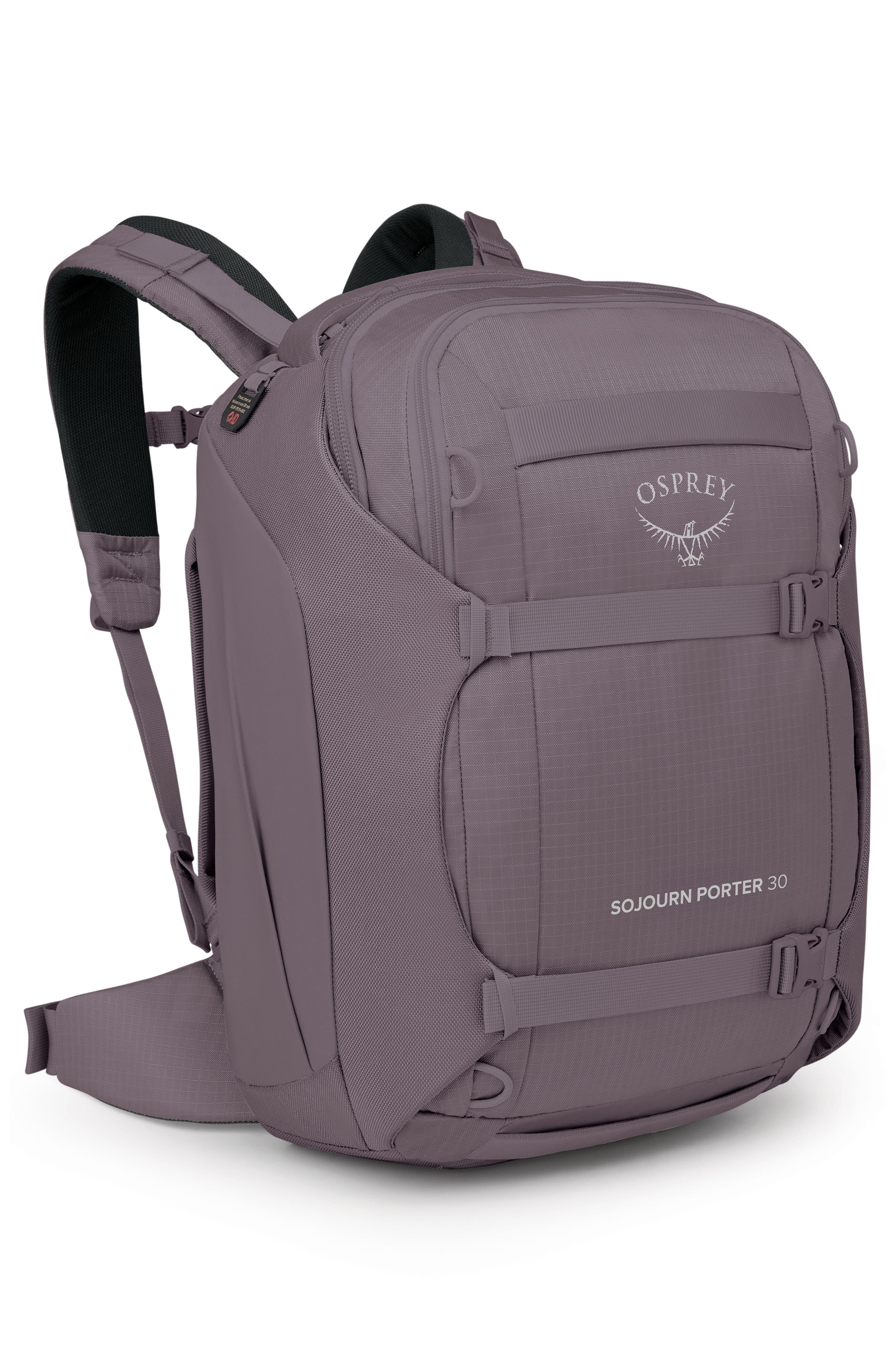 Sojourn Porter 30-Liter Recycled Nylon Travel Pack, Alternate, color, GRAPHITE PURPLE