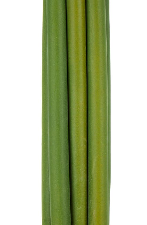 Sonoma Sage Home Set Of 8 Tall Allium Artificial Stems In White
