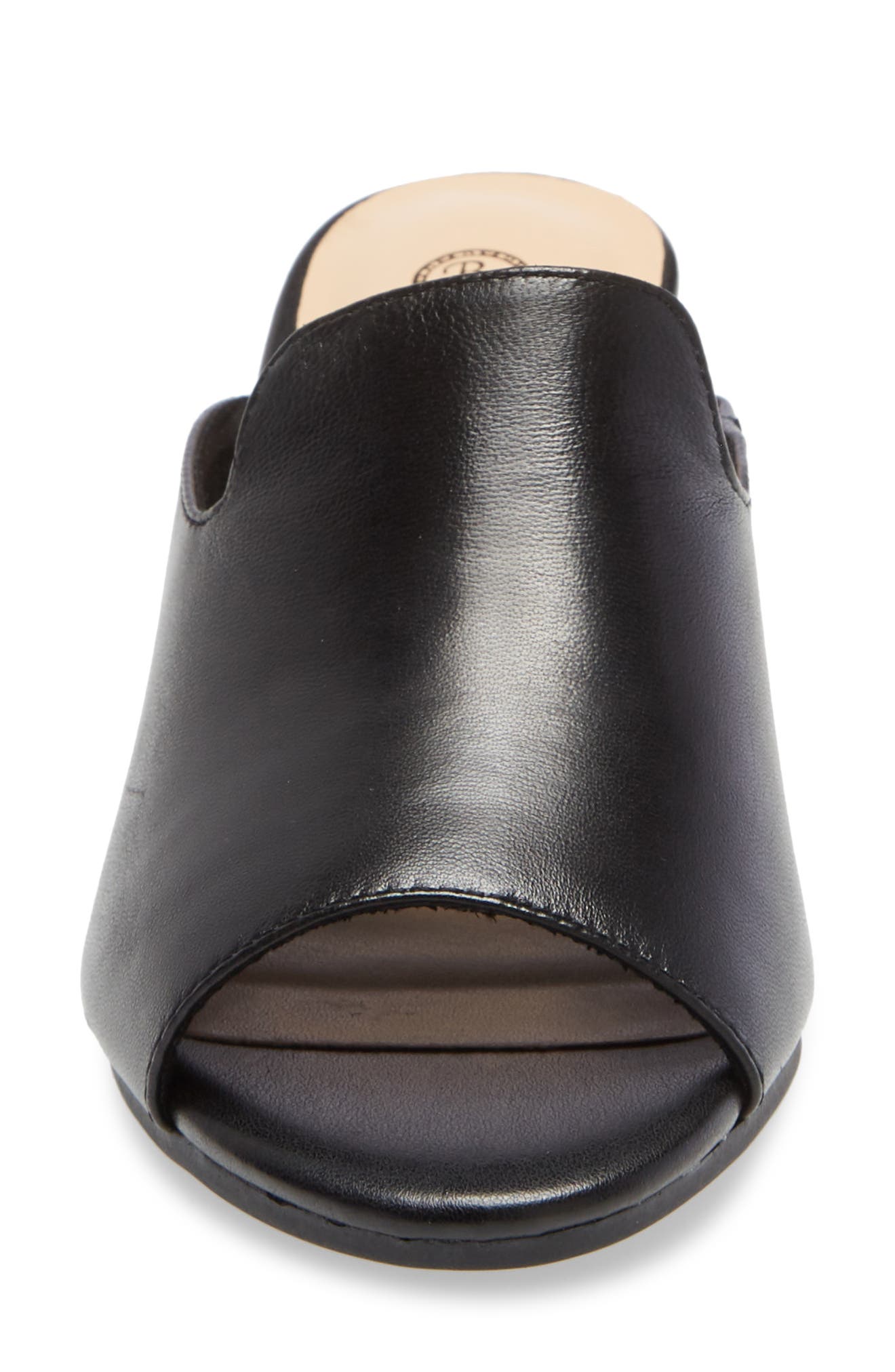 Bella Vita Daisy Slide Sandal, Alternate, color, 