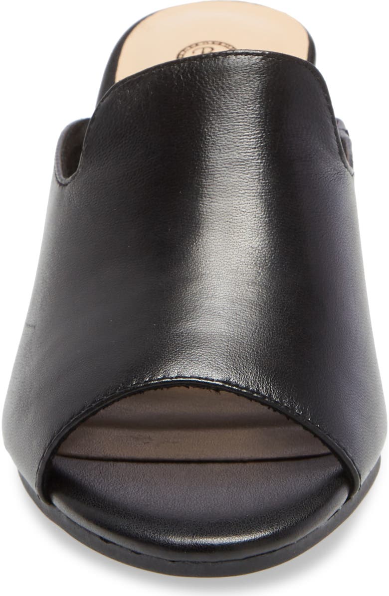 Bella Vita Daisy Slide Sandal, Alternate, color,