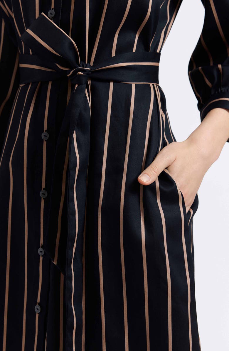 Foxcroft Esther Stripe Cotton Shirtdress, Alternate, color, Black/ Almond