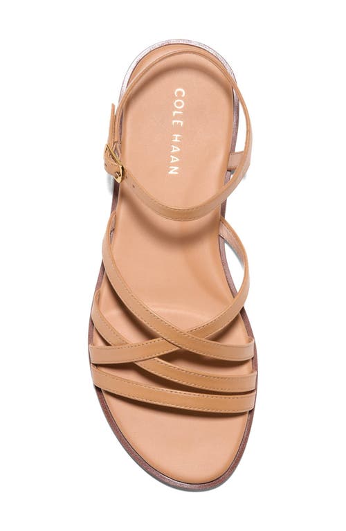 Cole Haan Flynn Strappy Sandal In Biscuit Leather