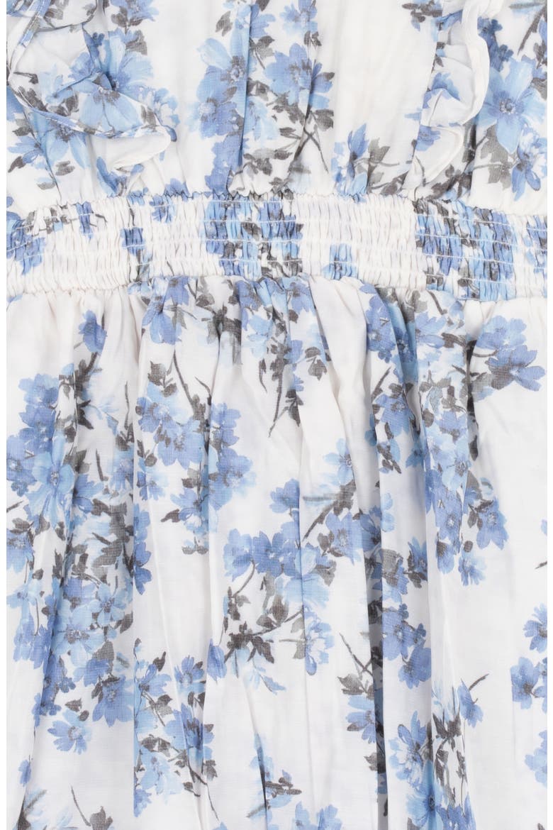 Kids' Floral Dobby Dress, Alternate, color, BLUE