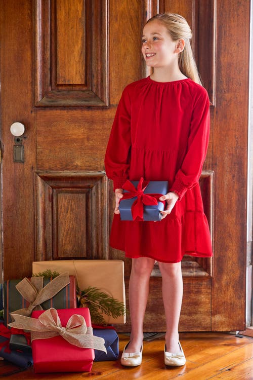 Little English Kids' Velvet Emerson Dress In Red