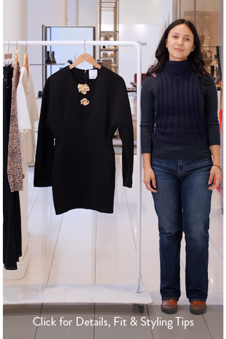 Brotton Long Sleeve Minidress video
