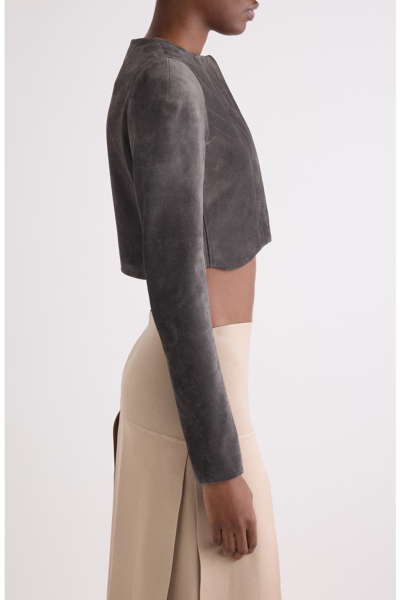 Crop Suede Jacket, Alternate, color, GRIS