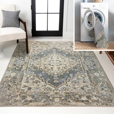 Pavel Distressed Medallion Low-Pile Machine-Washable Area Rug