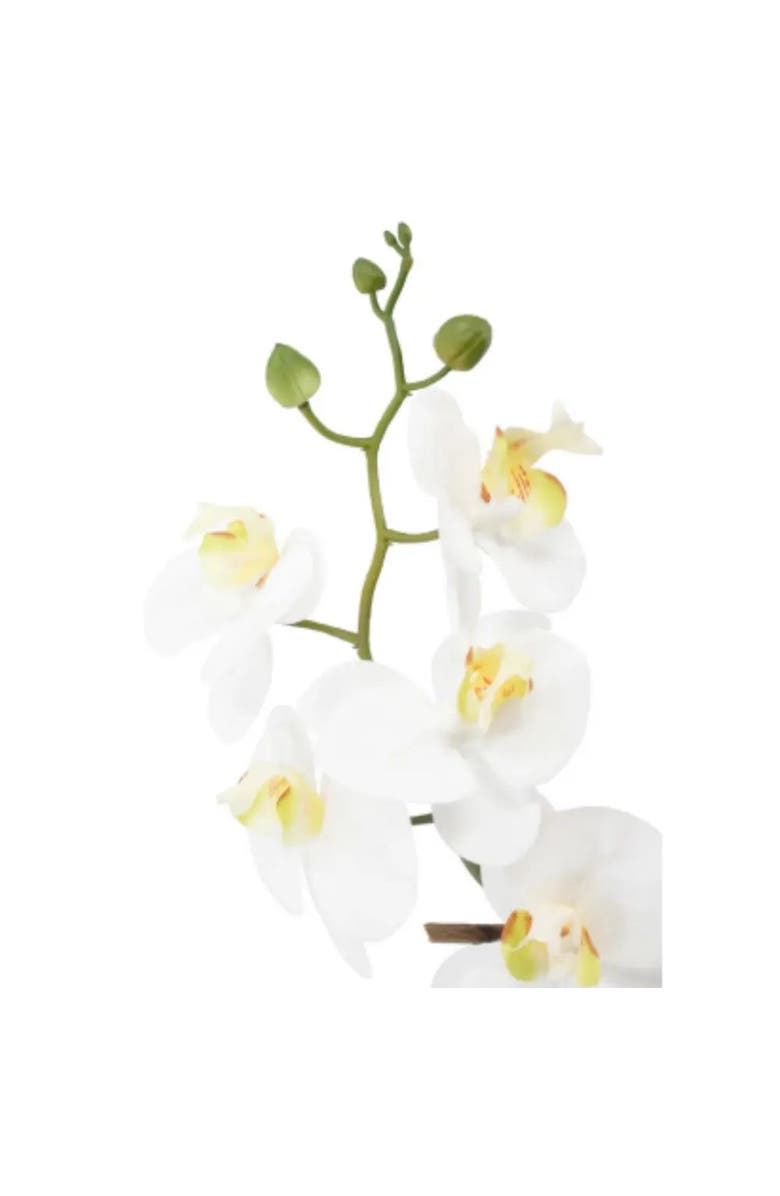 CG Hunter 22" Artificial White Phalaenopsis Orchids Set of 2, Alternate, color, White