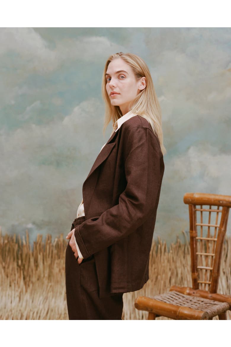 Easy-Going Jacket, Alternate, color, Brown Linen