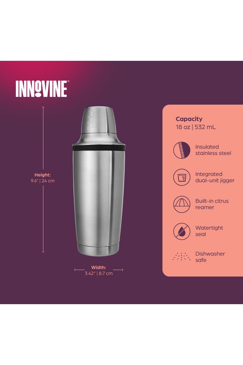 Double Walled Cocktail Shaker, Alternate, color, Silver