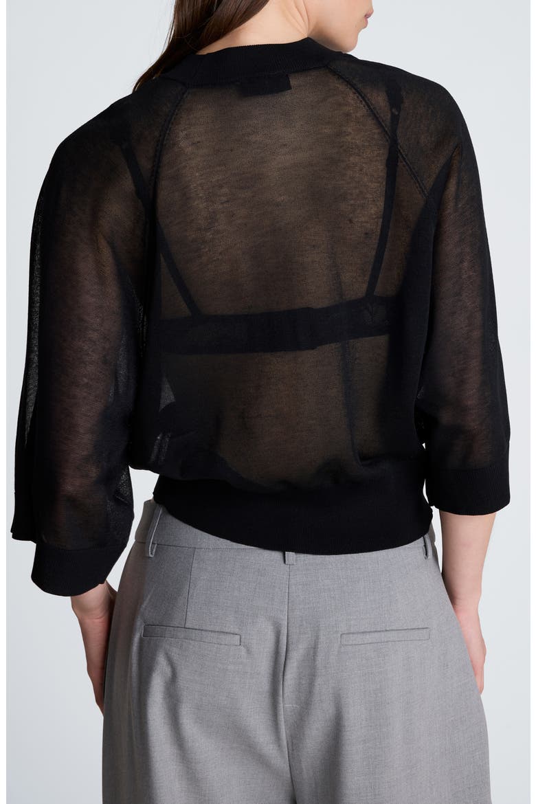 Raglan Sleeve Crewneck Sweater, Alternate, color, BLACK