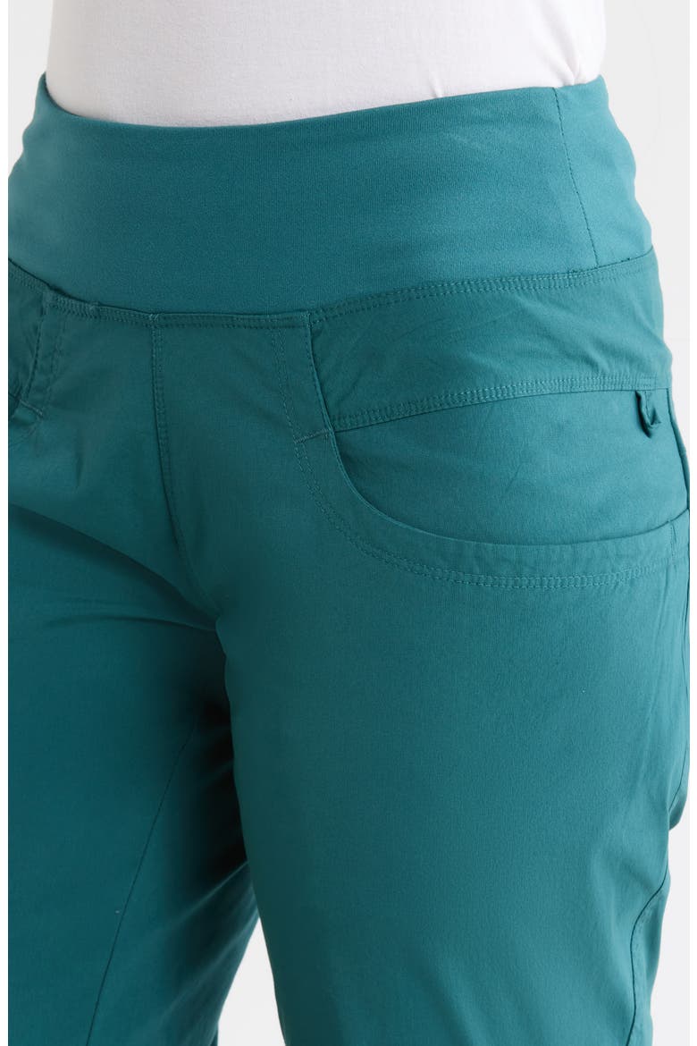 Kanab Performance Pants, Alternate, color, COAST