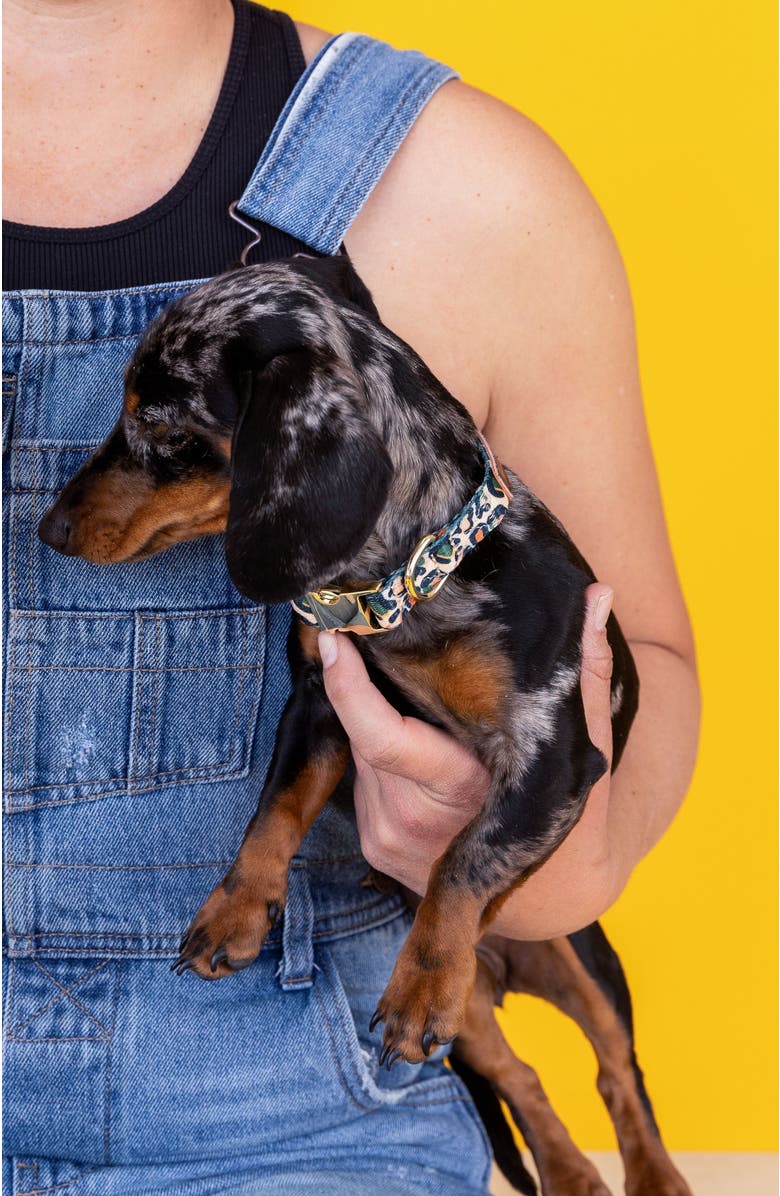 Pink Papyrus Beckett Dog Collar, Alternate, color, Beckett