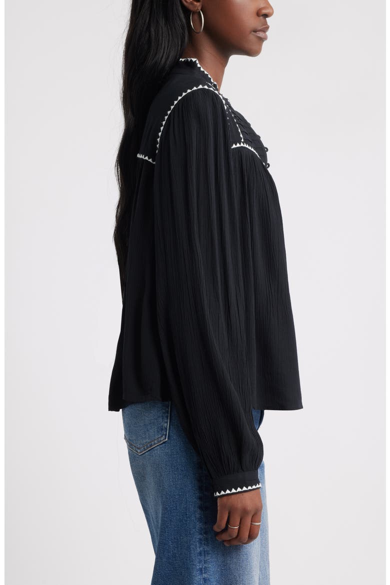High Neck Embroidered Long Sleeve Top, Alternate, color, BLACK