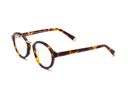 Caddis Gramophone | Reading Glasses In Brown