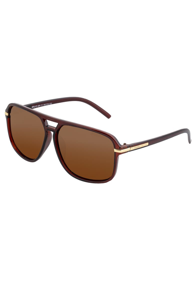 Reed Polarized Sunglasses, Main, color, Brown/Brown